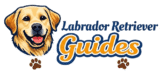 Labrador Retriever Guides